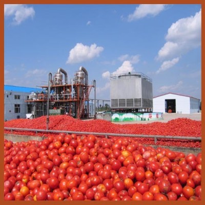 with 30 Years Experience Jd Tomato Paste Machine