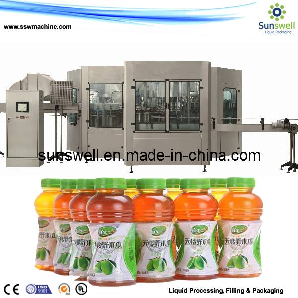 Pet Bottled Automatic Hot Filling Juice Filling Machine for Apple, Orange Juice Plant