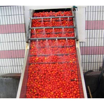 Factory for Tomato Paste