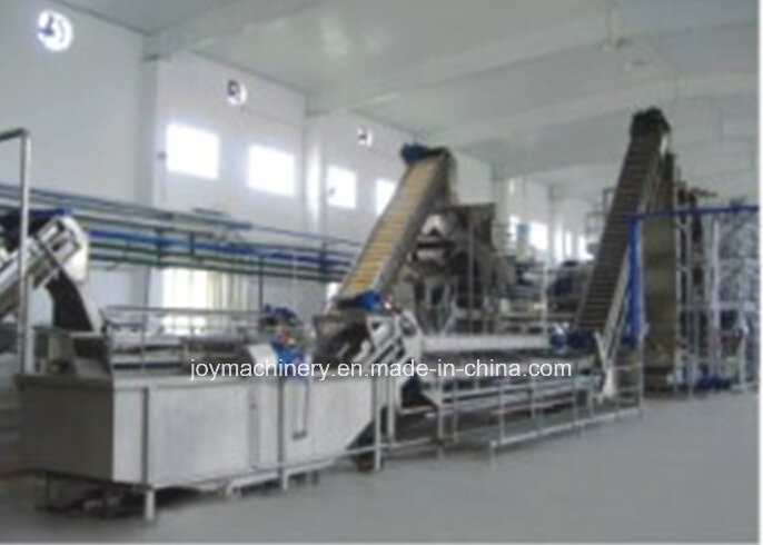 Turn-Key Project Juice Production Plant (automatic)