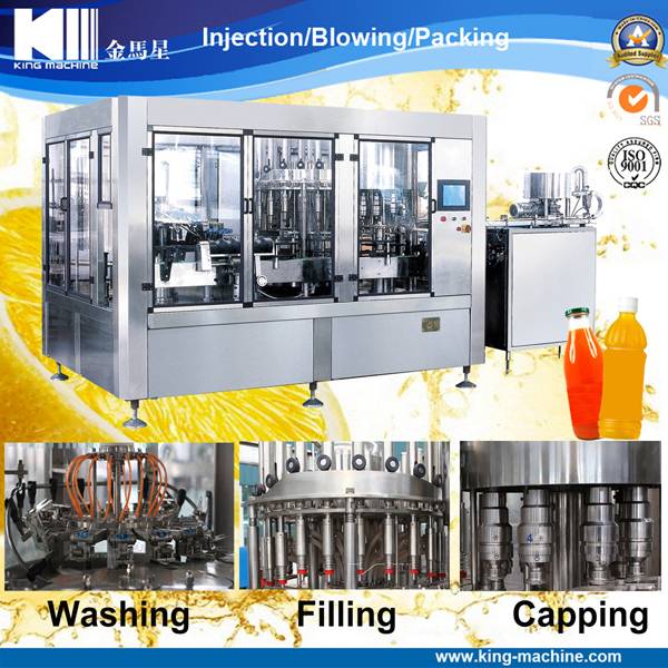 Concentrate Fruit Juice Processing Plant