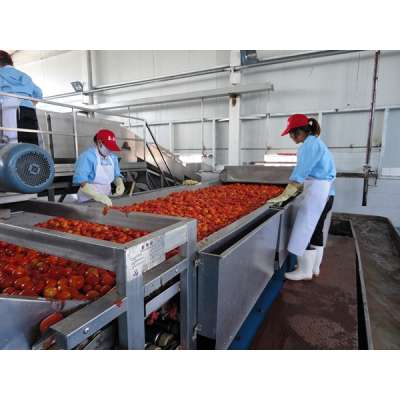 Tomato Washing Machine