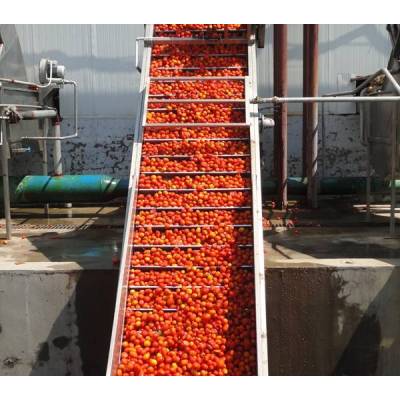 Concentrate Fruit Juice Processing Plant